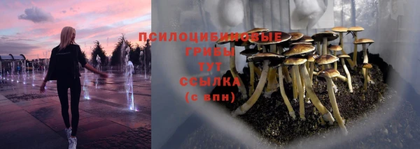 не бодяженный Абинск